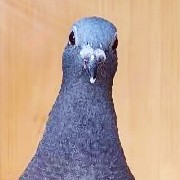 ����TA�ĸ�����