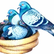 ����TA�ĸ�����