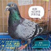 ����TA�ĸ�����