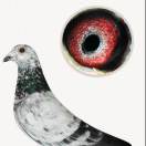 ����TA�ĸ�����