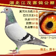 ����TA�ĸ�����