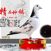 ����TA�ĸ�����