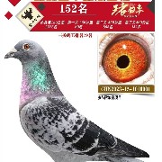 ����TA�ĸ�����