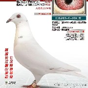 ����TA�ĸ�����