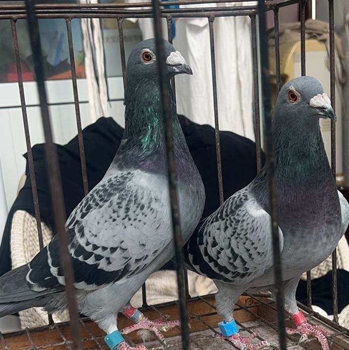 ����TA�ĸ�����