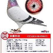 ����TA�ĸ�����