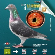 ����TA�ĸ�����