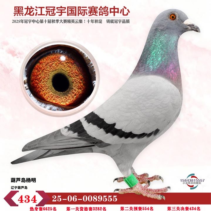 ����TA�ĸ�����