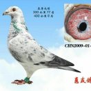 ����TA�ĸ�����