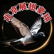 ����TA�ĸ�����