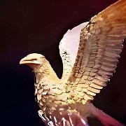 ����TA�ĸ�����