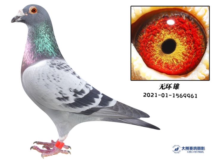 ����TA�ĸ�����