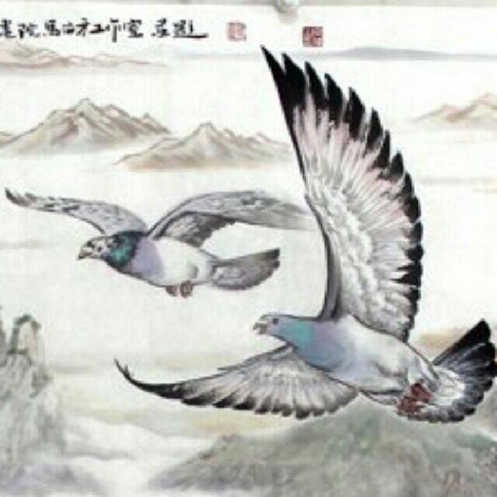 ����TA�ĸ�����