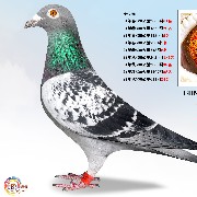 ����TA�ĸ�����