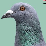 ����TA�ĸ�����