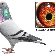 ����TA�ĸ�����