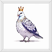 ����TA�ĸ�����