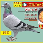 ����TA�ĸ�����