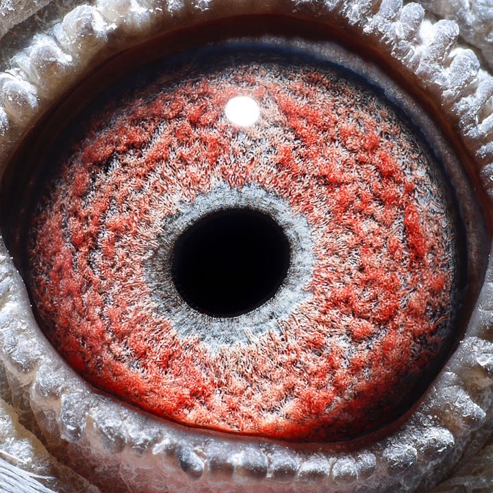 ����TA�ĸ�����