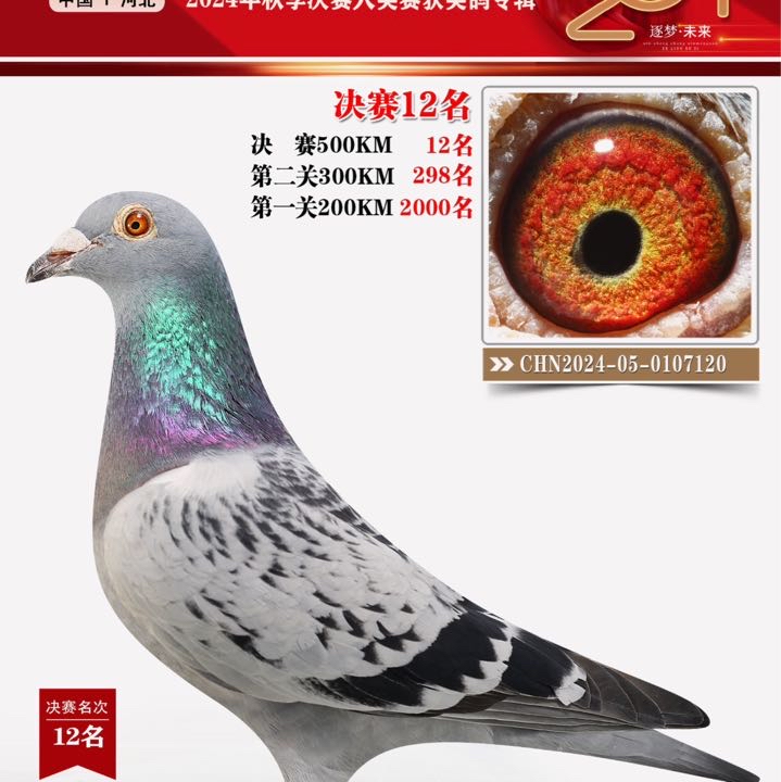 ����TA�ĸ�����