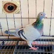 ����TA�ĸ�����