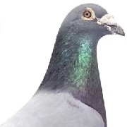 ����TA�ĸ�����