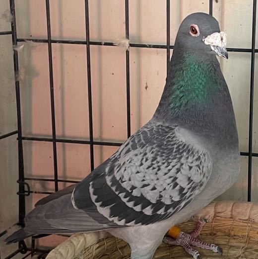 ����TA�ĸ�����