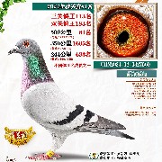 ����TA�ĸ�����