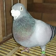 ����TA�ĸ�����