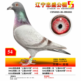 ����TA�ĸ�����