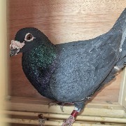 ����TA�ĸ�����