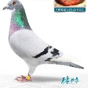 ����TA�ĸ�����