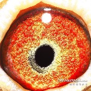 ����TA�ĸ�����