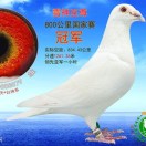 ����TA�ĸ�����