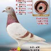 ����TA�ĸ�����