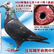 ����TA�ĸ�����