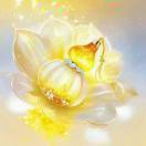 ����TA�ĸ�����