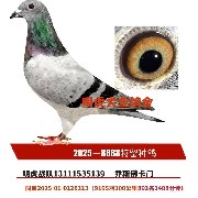 ����TA�ĸ�����