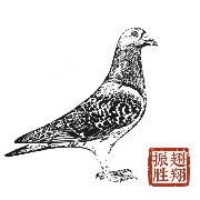 ����TA�ĸ�����