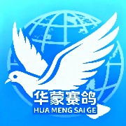 ����TA�ĸ�����