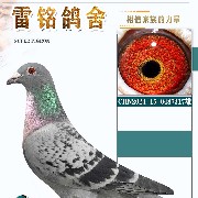 ����TA�ĸ�����