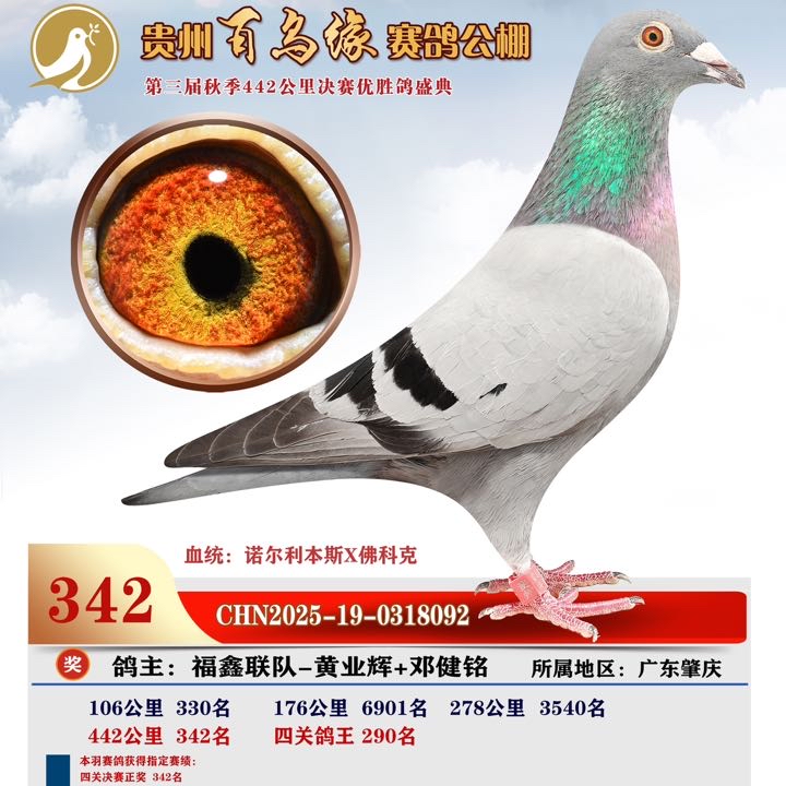 ����TA�ĸ�����