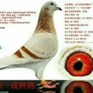 ����TA�ĸ�����