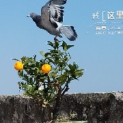 ����TA�ĸ�����