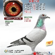 ����TA�ĸ�����