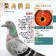 ����TA�ĸ�����