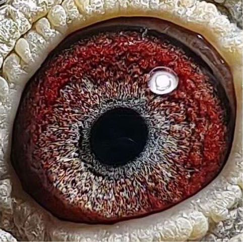 ����TA�ĸ�����