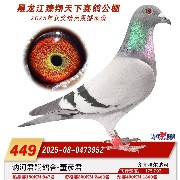 ����TA�ĸ�����