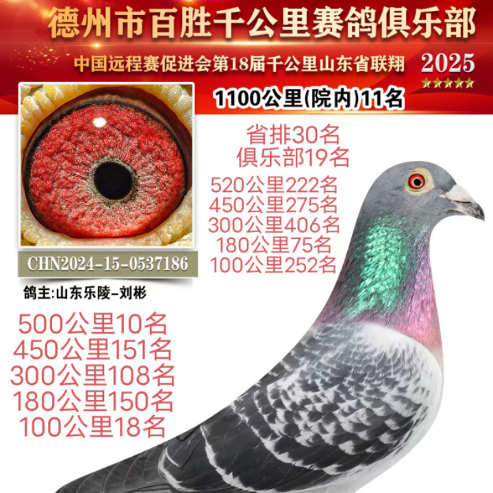 ����TA�ĸ�����