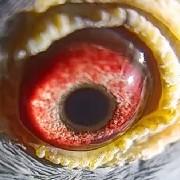 ����TA�ĸ�����